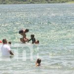 ¡A calmar el bochorno! Xiloa la mejor opción para el disfrute de las familias Fotos: ¡A calmar el bochorno! Xiloa la mejor opción para el disfrute de las familias, en estas temporadas en las que aún se siente calor / TN8