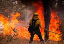 Incendios forestales en Hawái provocan evacuaciones masivas Incendios forestales en Hawái provocan evacuaciones masivas
