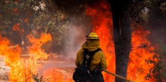 Incendios forestales en Hawái provocan evacuaciones masivas
