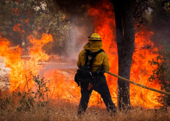 Incendios forestales en Hawái provocan evacuaciones masivas