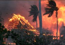 A 67 sube la cifra de muertos causados por incendios forestales en Hawai Fotos: A 67 sube la cifra de muertos causados por incendios forestales en Hawai /Cortesía