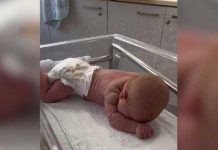 Foto: Con "tan sólo 3 días de vida" una bebé se vuelve viral en TikTok, causando asombro y millones de comentarios en los usuarios de esta red / Cortesía