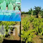 Foto: El INTA inaugura Finca de Desarrollo de Tecnologías  Agropecuarias "Jacinto Baca", con el objetivo de potenciar la seguridad alimentaria /TN8