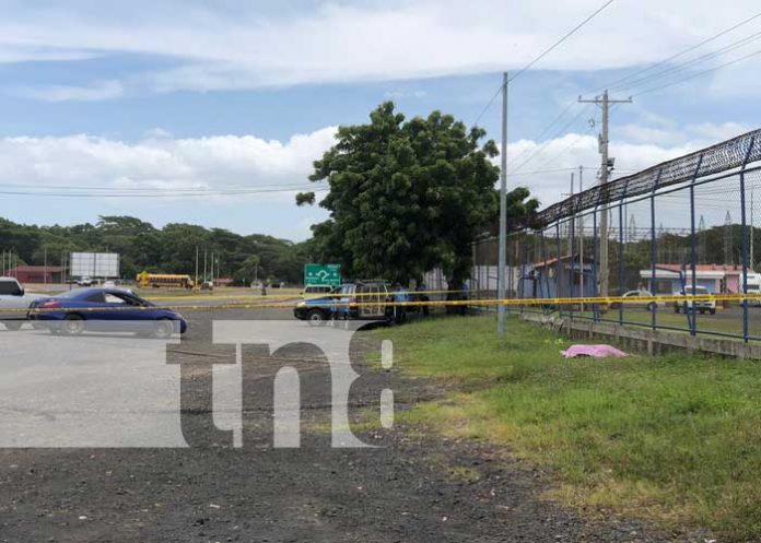 Foto: Tragedia en Carretera Norte, muere peatón de 51 años al ser atropellado, testigos del hecho afirman que el conductor iba a exceso de velocidad / TN8