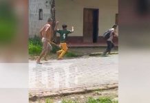 Se lo bajan de una pedrada por intentar abusar de una mujer en Waslala Matagalpa Foto: Se lo bajan de una pedrada por intentar abusar de una mujer en Waslala Matagalpa, el hecho se ha viralizado en las redes sociales / TN8