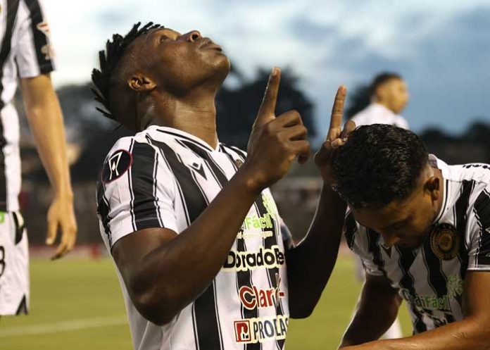 Copete cacique, diriangén, herediano,