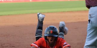 san fernando, beisbol, carazo, pomares