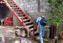 Aplican abatización para evitar el «zancudero» en barrios de Managua Foto: Abatización en barrios de Managua / TN8