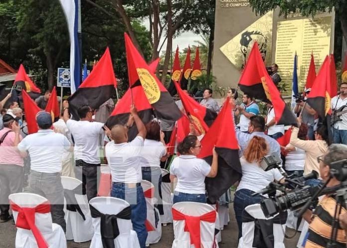 Foto: Celebración próxima por la Cruzada Nacional de Alfabetización / TN8
