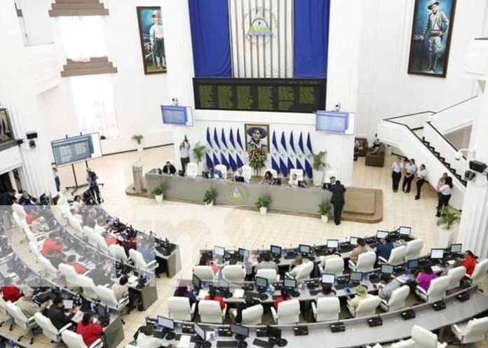 Foto: Sesión parlamentaria en la Asamblea Nacional / TN8