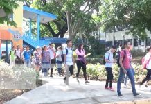 Crecen las prematrículas universitarias con más de 25 mil aspirantes registrados Foto: Crecen las prematrículas universitarias con más de 25 mil aspirantes registrados/ TN8