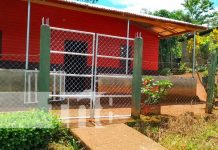 Crimen sangriento en Matagalpa: Doble homicidio de padre e hija Foto: Doble crimen en una comunidad de Matagalpa / TN8