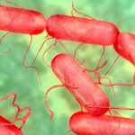 Muertos e infectados en la Florida por inusual bacteria