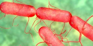 Muertos e infectados en la Florida por inusual bacteria