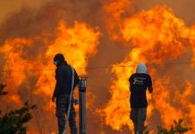 Grecia ofrece vacaciones a afectados por incendios