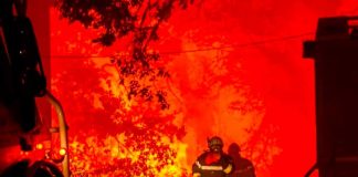 Dantesco incendio forestal en Francia