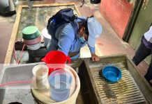 Octava jornada de lucha antiepidémica en el barrio Bóer en Managua Foto: Jornada de fumigación en el barrio Bóer, Managua / TN8