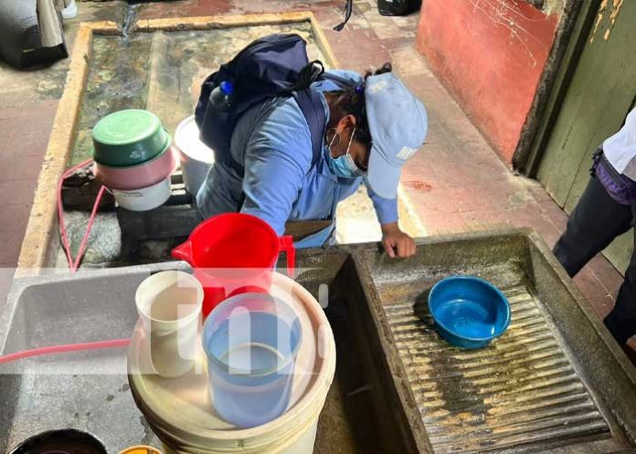 fumm-2 Foto: Jornada de fumigación en el barrio Bóer, Managua / TN8