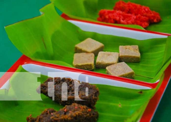 gastro-mas-1 Foto: Festival gastronómico con el INATEC en Masaya / TN8