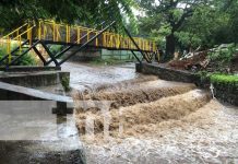 Foto: Crecida de aguas en Valle Gothel / TN8