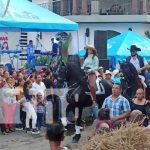 Foto: Hípicas en Granada / TN8