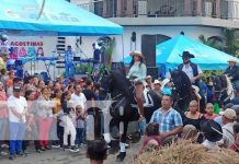 Espectacular Desfile Hípico en Granada: más de 3,000 montados se toman las calles de La Gran Sultana Foto: Hípicas en Granada / TN8