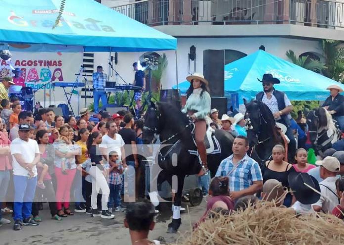 Foto: Hípicas en Granada / TN8
