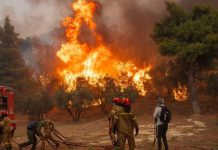 Grecia en batalla por duodécimo día contra el incendio más grande en su historia Grecia combate el incendio más grande jamás registrado