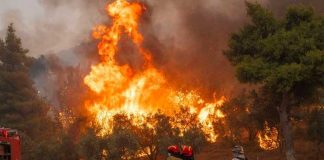 Grecia combate el incendio más grande jamás registrado