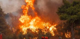 Grecia sigue afectado por incendios forestales