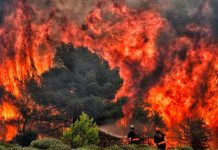 Grecia lucha contra el mayor incendio registrado en la historia de la UE Grecia enfrenta el incendio más grande
