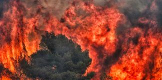 Grecia enfrenta el incendio más grande