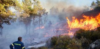 Veinte muertos en una nueva ola de incendios en Grecia
