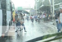 Foto: Imprudencias en Managua siguen a la orden del día / TN8
