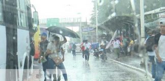 Foto: Imprudencias en Managua siguen a la orden del día / TN8