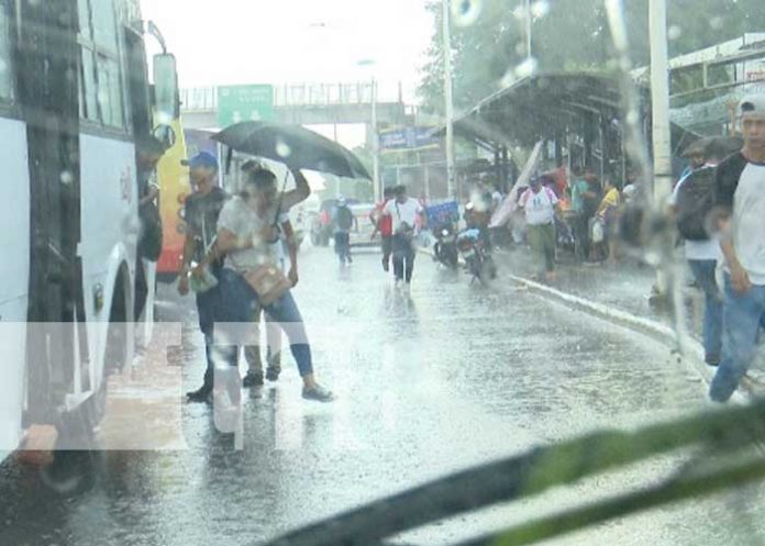 Foto: Imprudencias en Managua siguen a la orden del día / TN8