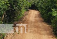 San Rafael del Norte con mejores caminos para progreso de Jinotega Foto: Mejores caminos en zonas rurales de Jinotega / TN8