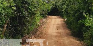 Foto: Mejores caminos en zonas rurales de Jinotega / TN8