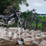 Foto: Incautación de marihuana en Jalapa, Nueva Segovia / TN8