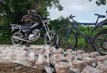 Incautan 100 paquetes compactos de marihuana en Jalapa, Nueva Segovia Foto: Incautación de marihuana en Jalapa, Nueva Segovia / TN8