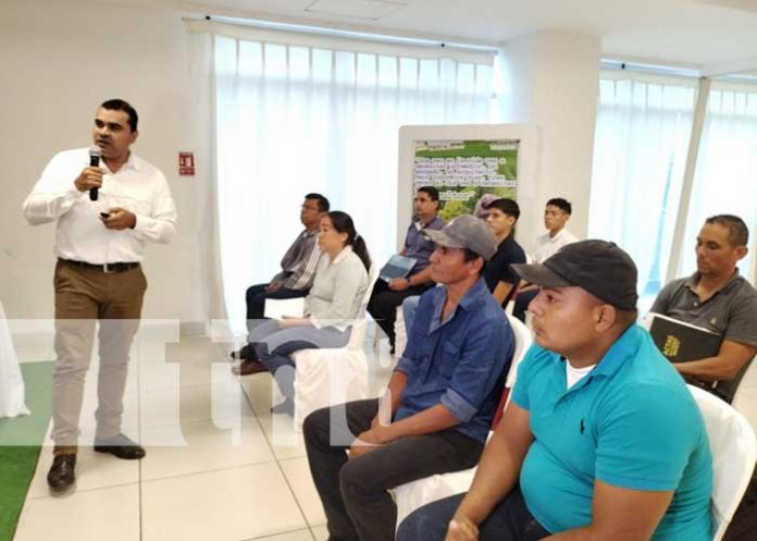Foto: Capacitación a productores del Corredor Seco de Nicaragua / TN8