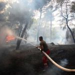 «Se activan alertas en España» Nueva Ola de Calor arrasó con mil hectáreas España en alerta por ola de calor