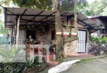 Novedoso: Hostal hecho de material reciclado en la Isla de Ometepe Foto: Hostal La Chiponga en la Isla de Ometepe / TN8