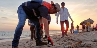 Foto: Peces muertos en playa de México