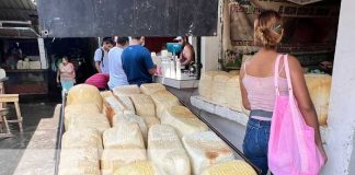 Foto: Derivados del lácteo a buenos precios en mercados de Managua / TN8