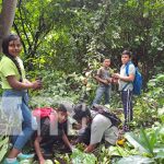 Foto: Reforestación en El Chocoyero / TN8