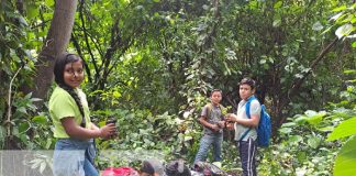Foto: Reforestación en El Chocoyero / TN8