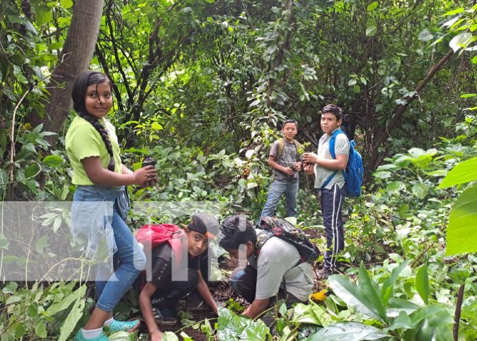 Foto: Reforestación en El Chocoyero / TN8