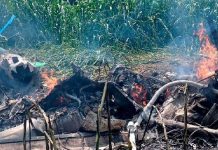 Tres personas pierden la vida en trágico accidente de helicóptero en Tuxpan Tres personas pierden la vida en trágico accidente de helicóptero en Tuxpan