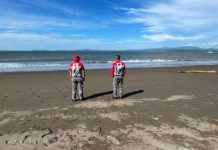 «Violentas olas» Arrastraron a un alemán en Costa Rica Foto: "Violentas olas" arrastraron a un alemán en Costa Rica/Cortesía